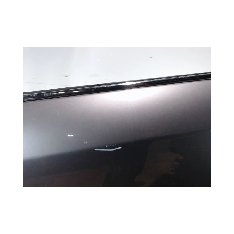 PORTE ARRIERE GAUCHE RENAULT MEGANE