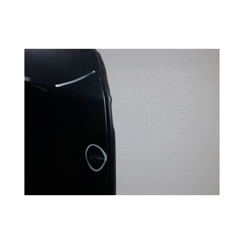PORTE ARRIERE DROIT RENAULT VEL SATIS