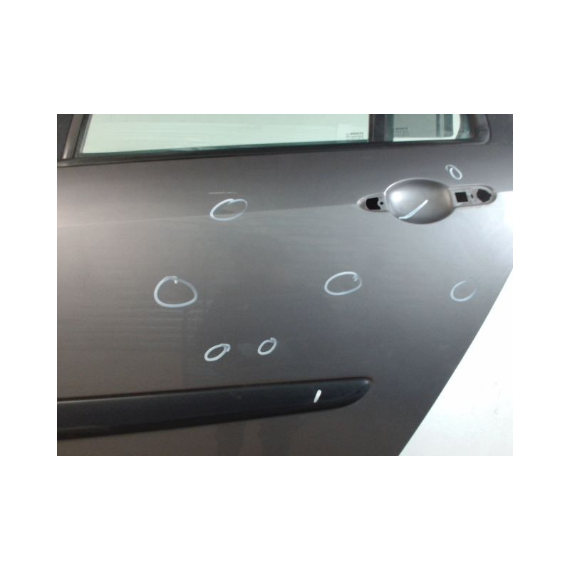 PORTE ARRIERE GAUCHE RENAULT MODUS