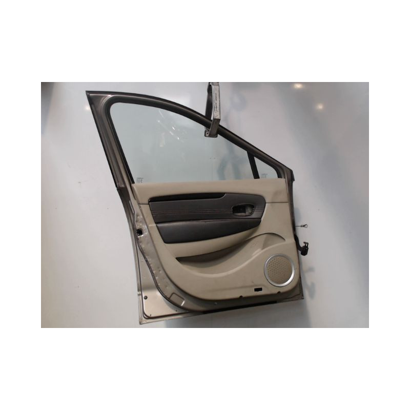 PORTE AVANT GAUCHE RENAULT SCENIC III 2009-