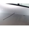 PORTE AVANT DROIT RENAULT SCENIC II PH2 2006-