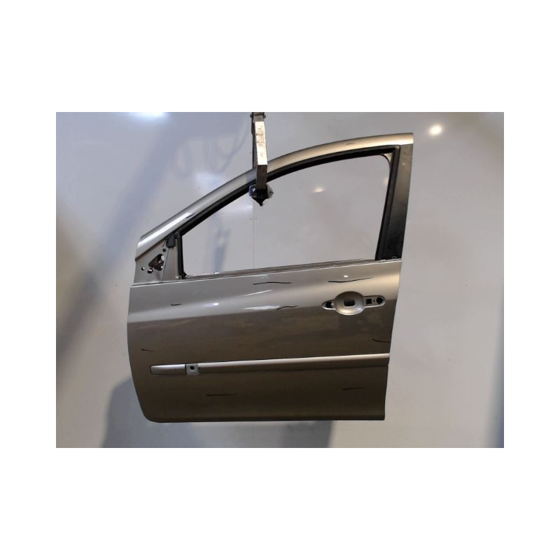 PORTE AVANT GAUCHE RENAULT CLIO III 2010-