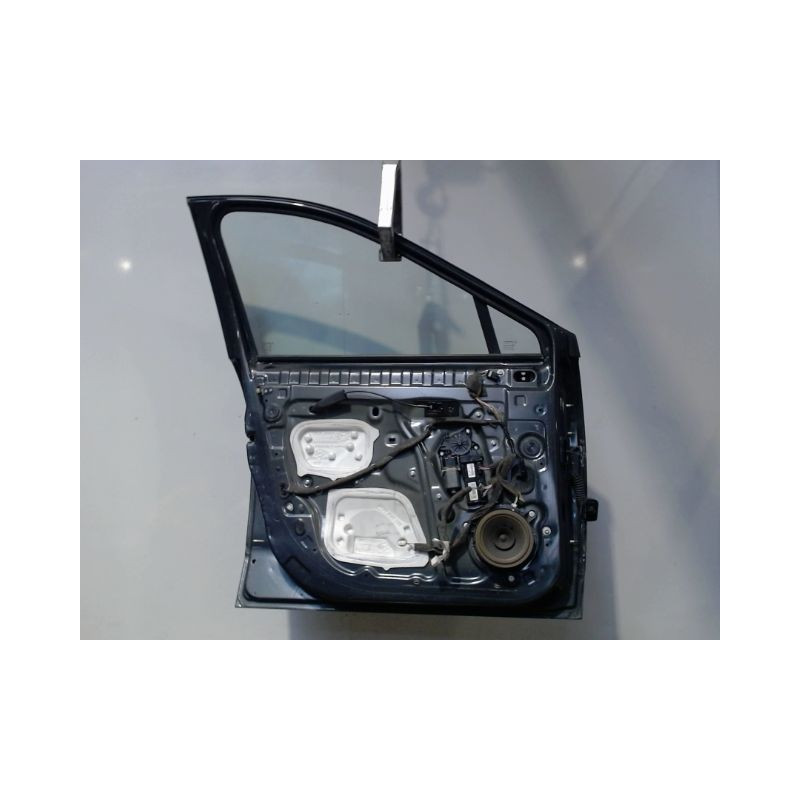 PORTE AVANT GAUCHE RENAULT SCENIC II PH2 2006-
