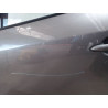 PORTE ARRIERE GAUCHE RENAULT MEGANE III 2008-
