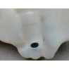 RESERVOIR LAVE-GLACE AVANT RENAULT CLIO II Phase 1 1998-2001