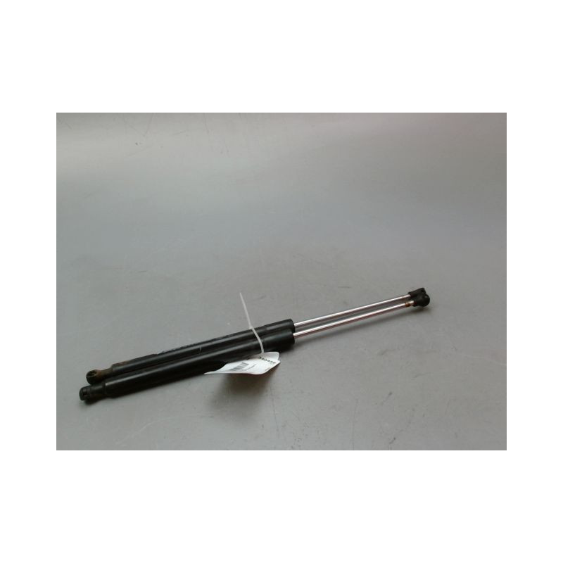 VERIN HAYON G RENAULT CLIO III Phase 2 2009-2014