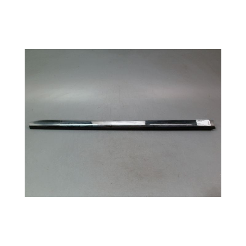 PROTECTION PORTE AVANT GAUCHE RENAULT CLIO