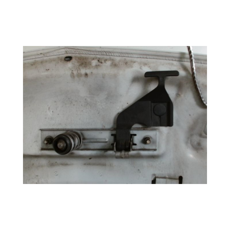 CAPOT RENAULT CLIO