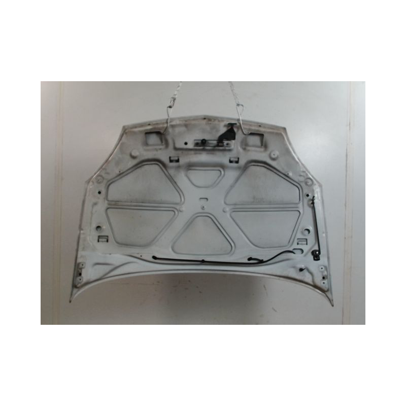 CAPOT RENAULT CLIO