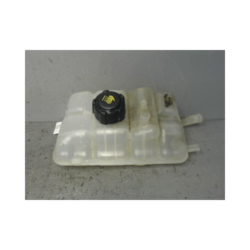VASE EXPANSION RENAULT MEGANE