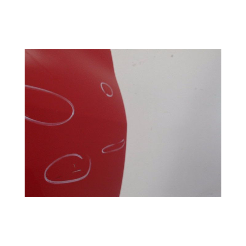 PORTE ARRIERE DROIT RENAULT CLIO III PH.1 ESTATE 2008-2009