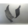 PARE-BOUE AVANT DROIT RENAULT MEGANE