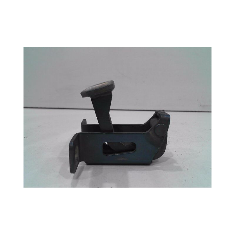 CHARNIERE INF PORTE BATTANTE ARG DACIA LOGAN