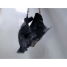 PARE-BOUE AVANT DROIT RENAULT SCENIC I PH2 99-03