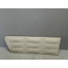 PROTECTION PORTE AVANT GAUCHE CITROEN C4 CACTUS