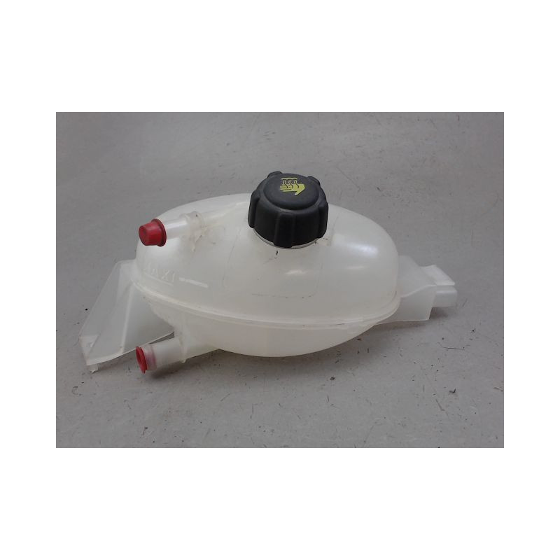 VASE EXPANSION RENAULT MASTER