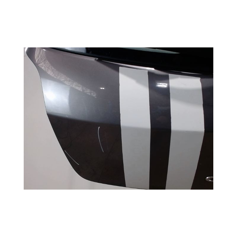 HAYON RENAULT CLIO III 2009-