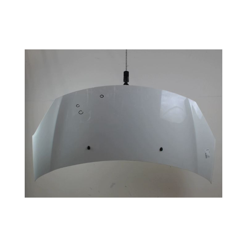 CAPOT CITROEN C3 2009-