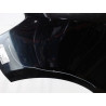 AILE AVANT GAUCHE RENAULT CLIO III 2009-