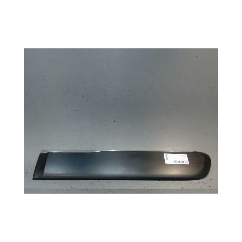 PROTECTION PORTE ARRIERE GAUCHE CITROEN C3