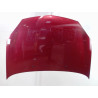 CAPOT RENAULT CLIO