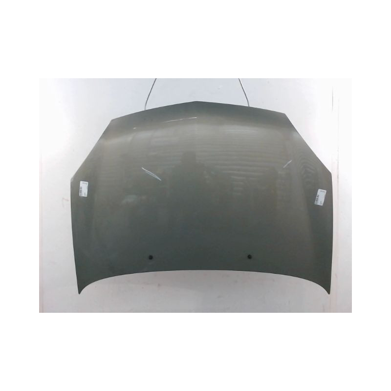 CAPOT RENAULT CLIO