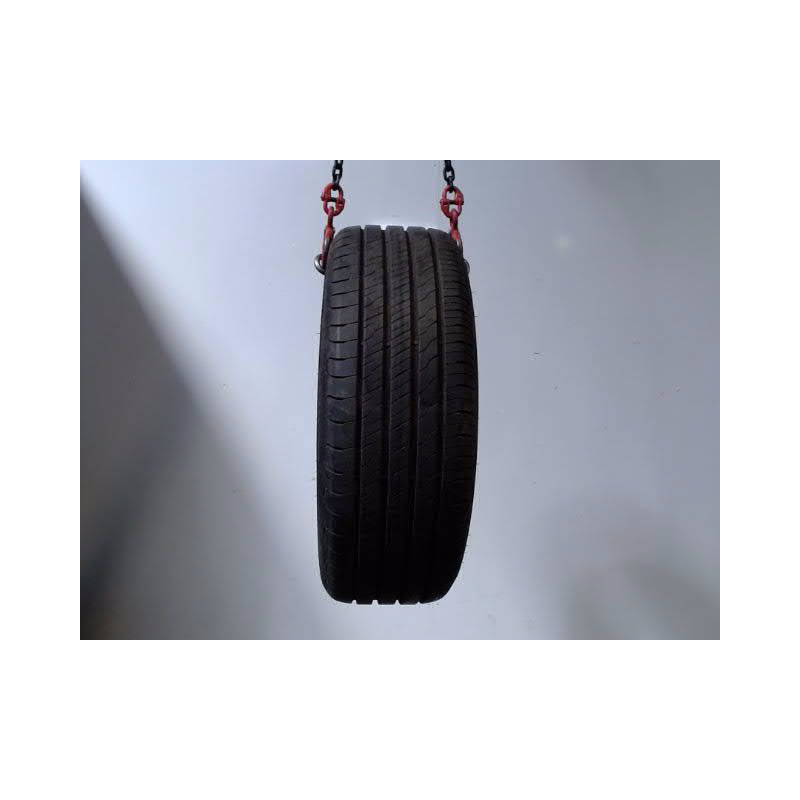 Pneu GOOD YEAR EFFICIENT GRIP PERFORMANCE 2 205 55 16 91 V