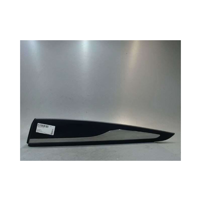 PROTECTION PORTE ARRIERE GAUCHE RENAULT CLIO