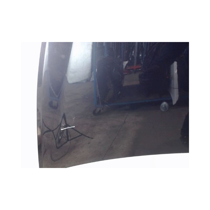 CAPOT RENAULT CLIO III 2009-