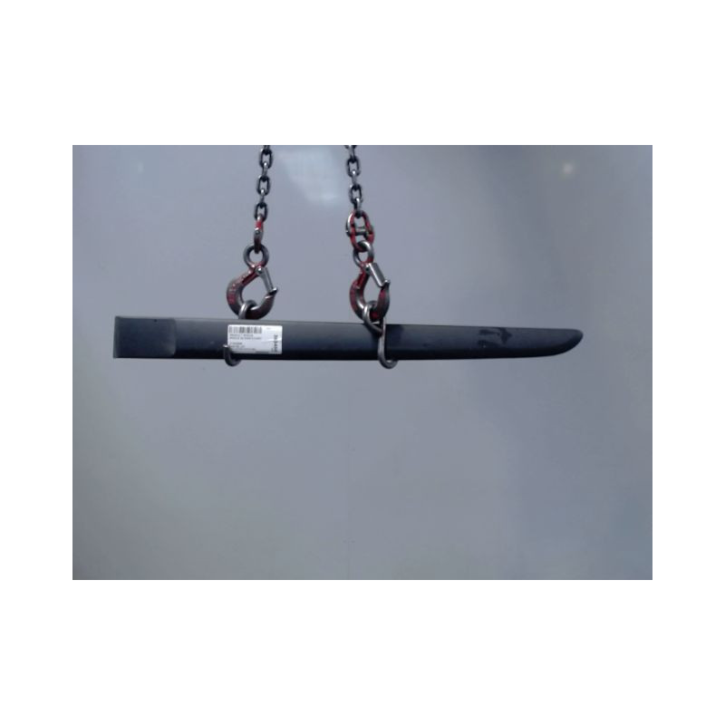 PROTECTION PORTE ARRIERE GAUCHE RENAULT MODUS 2004-2007