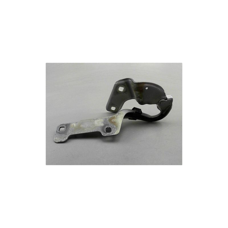 COMPAS DROIT CAPOT RENAULT CLIO III PH.2 ESTATE 09-