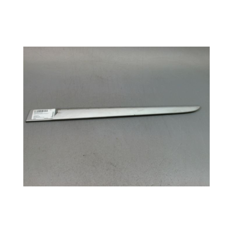 PROTECTION PORTE ARRIERE GAUCHE RENAULT CLIO III Phase 2 2009-2014