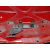 CAPOT RENAULT CLIO