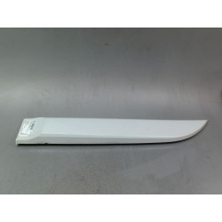 PROTECTION PORTE ARG