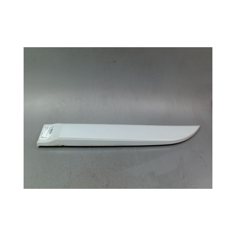 PROTECTION PORTE ARRIERE GAUCHE RENAULT MEGANE BREAK III Phase 3 2013-...