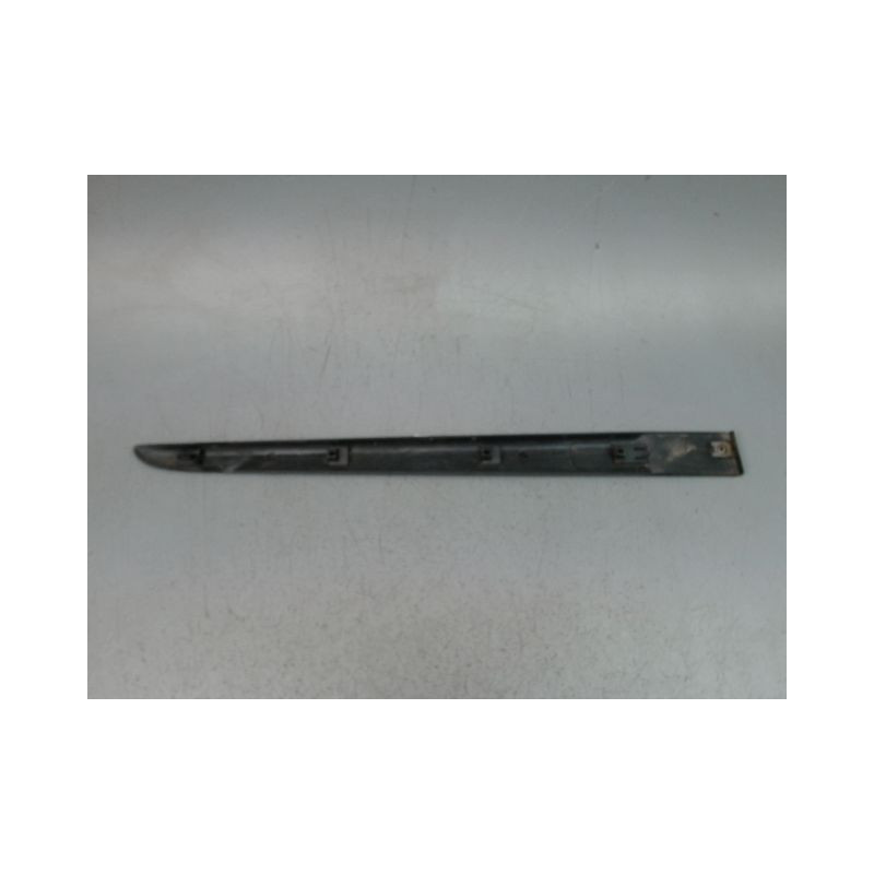 PROTECTION PORTE ARRIERE GAUCHE RENAULT CLIO III Phase 1 2005-2009