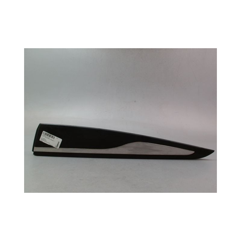 PROTECTION PORTE ARRIERE GAUCHE RENAULT CLIO IV Phase 1 2012-...