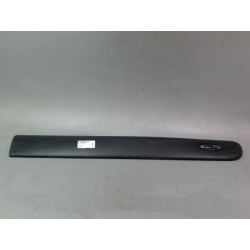 PROTECTION PORTE AVD
