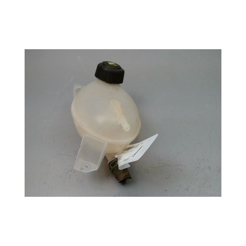 VASE EXPANSION RENAULT CLIO IV Phase 1 2012-...