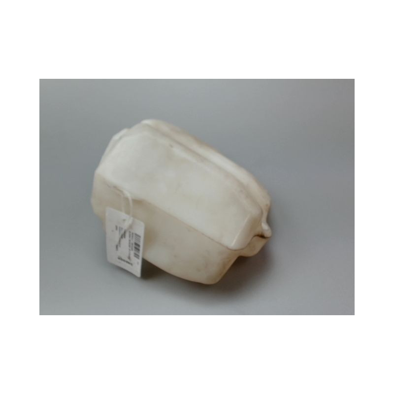 RESERVOIR LAVE-GLACE AVANT RENAULT SCENIC MONOSP. II Phase 1 2003-2006