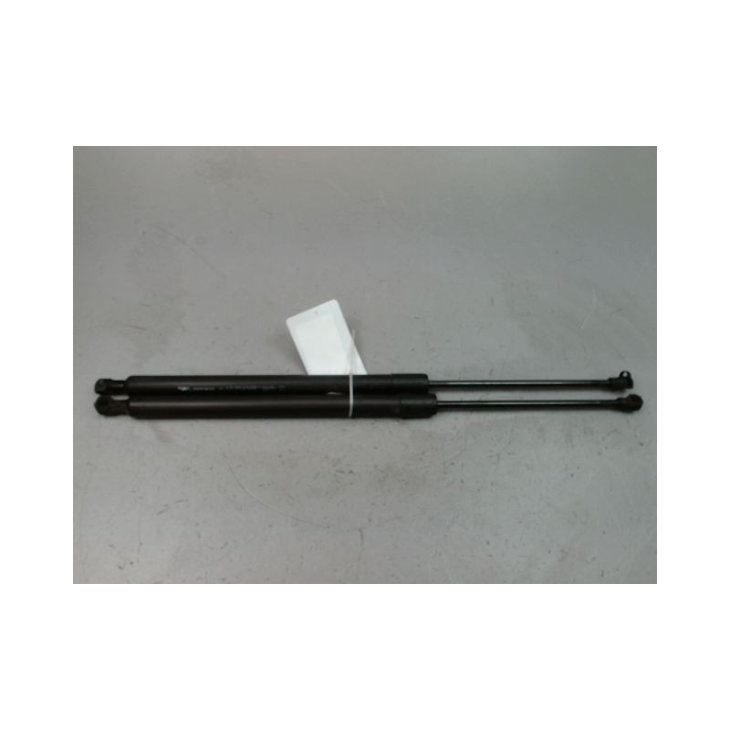 VERIN HAYON G RENAULT SCENIC MONOSP. III Phase 1 2009-2011