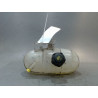 VASE EXPANSION RENAULT TRAFIC