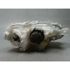 PHARE GAUCHE SMART FORTWO COUPE 3.2002-2006