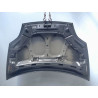 CAPOT FIAT BRAVO 2007-