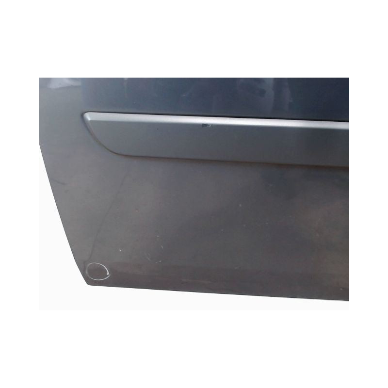 PORTE AVANT GAUCHE RENAULT SCENIC II PH2 2006-