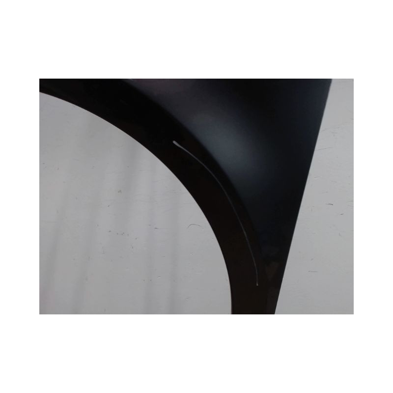 AILE AVANT GAUCHE RENAULT CLIO III 2009-
