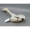 RESERVOIR LAVE-GLACE AVANT MINI MINI II Phase 1 (R56) 2006-2010