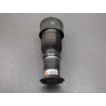 VERIN SUSPENSION ARRIERE GAUCHE CITROEN C4