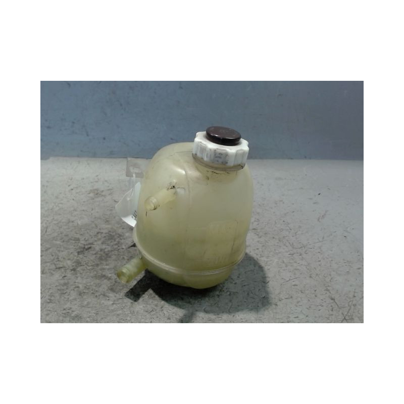 VASE EXPANSION RENAULT SCENIC I PH2 99-03