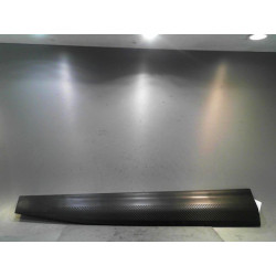 PROTECTION PORTE AVD